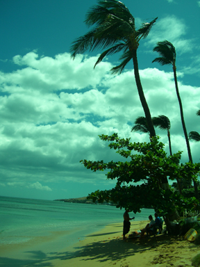 Scattering Ashes in Hawaii